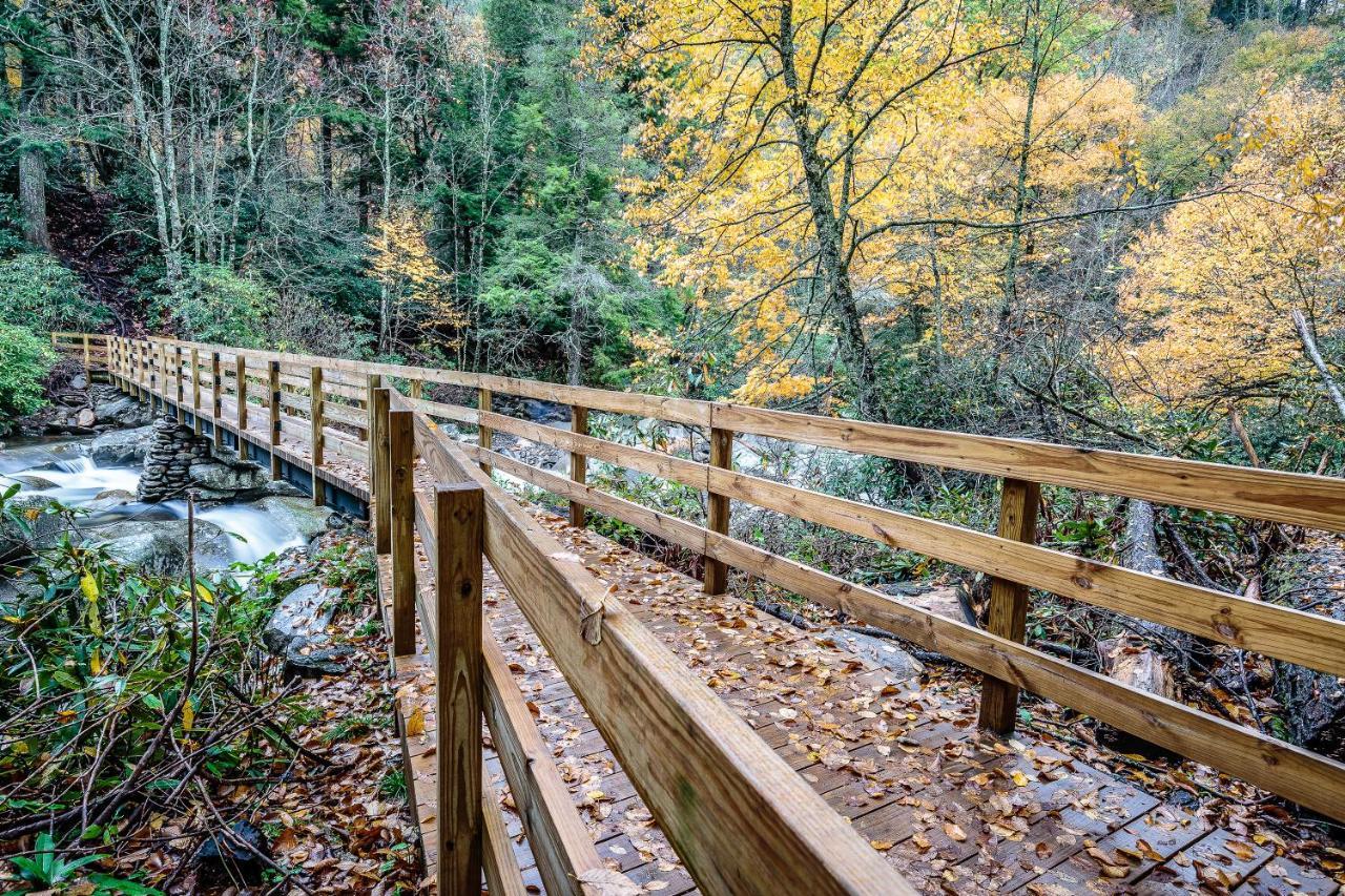 City Bear, 2Br, Pool, Spa, Downtown Gatlinburg, Sleeps 6 Apartment Exterior foto